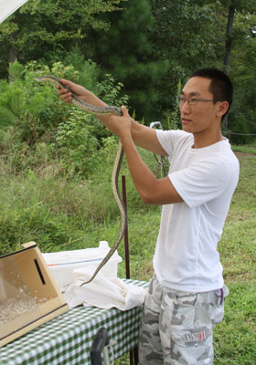 2013-BioBlitz