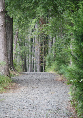 2013-BioBlitz