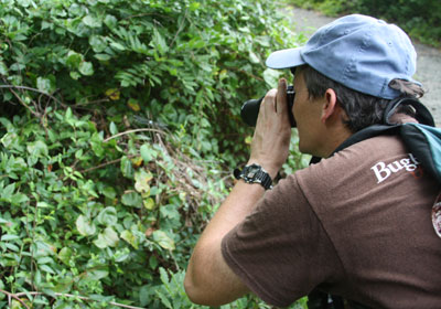 2013-BioBlitz