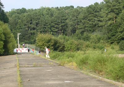 2013-BioBlitz