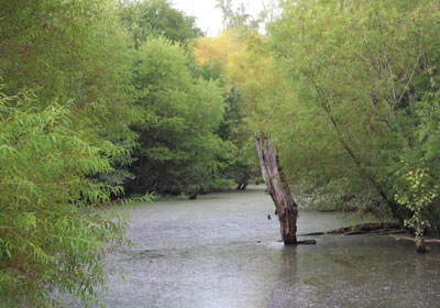 2013-BioBlitz