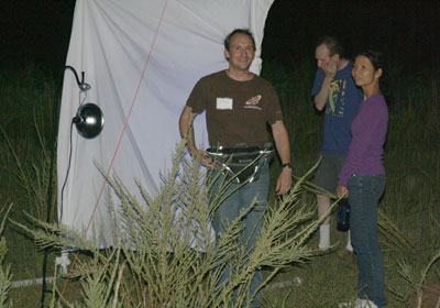 2013-BioBlitz