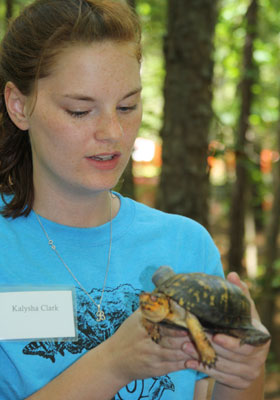 2013-BioBlitz