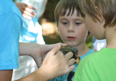 2013-BioBlitz