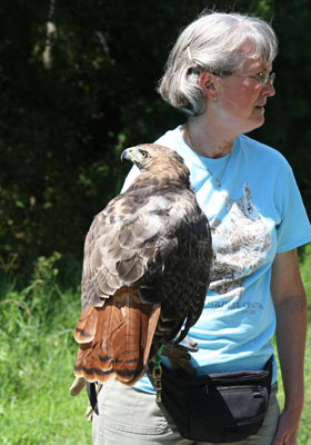 2013-BioBlitz