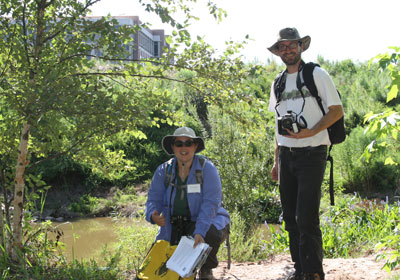 2013-BioBlitz