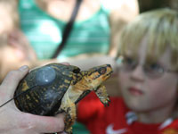 2013-BioBlitz & Auction