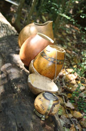 2012-Gourd Class